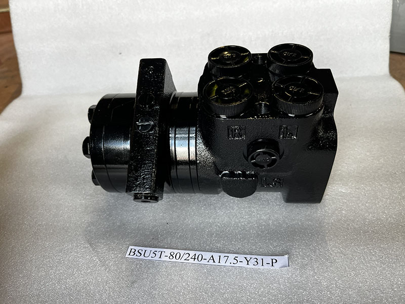 Насос-дозатор BSU5T-80/240-A17.5-Y31-P