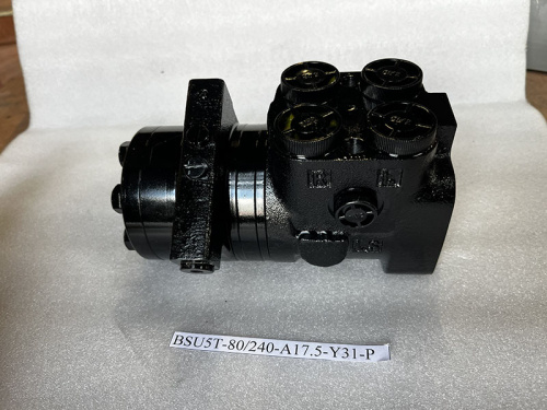 Насос-дозатор BSU5T-80/240-A17.5-Y31-P
