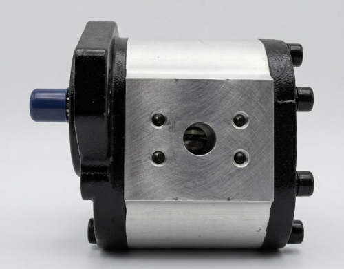 Насос шестеренный PMIGP3PF32F54S05